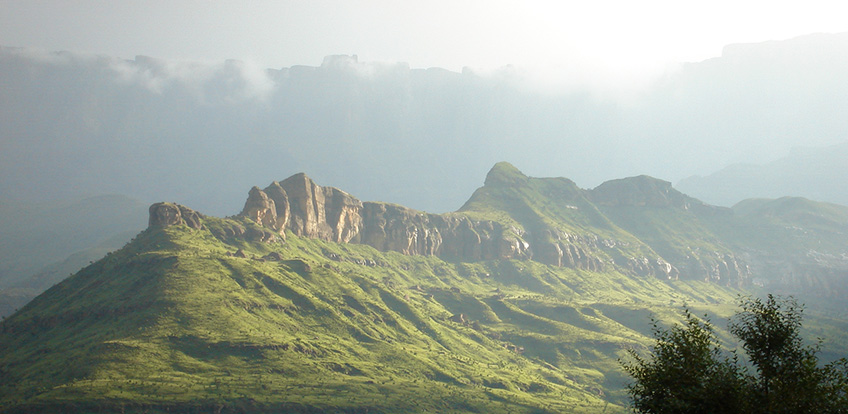 People at Conference People at Conference